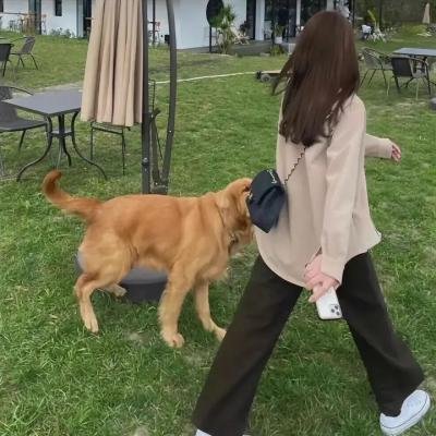 东离剑游纪第二季