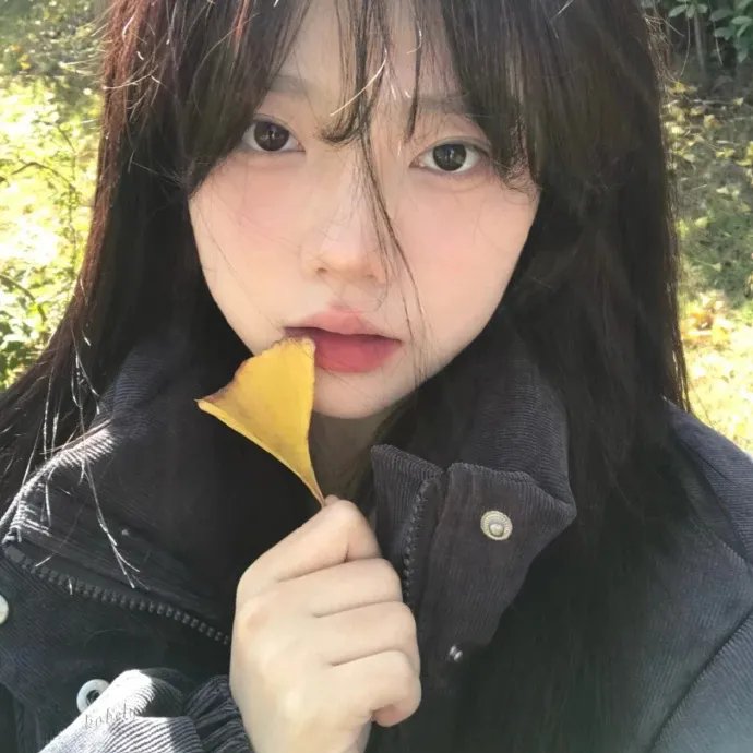 网红养成记国语